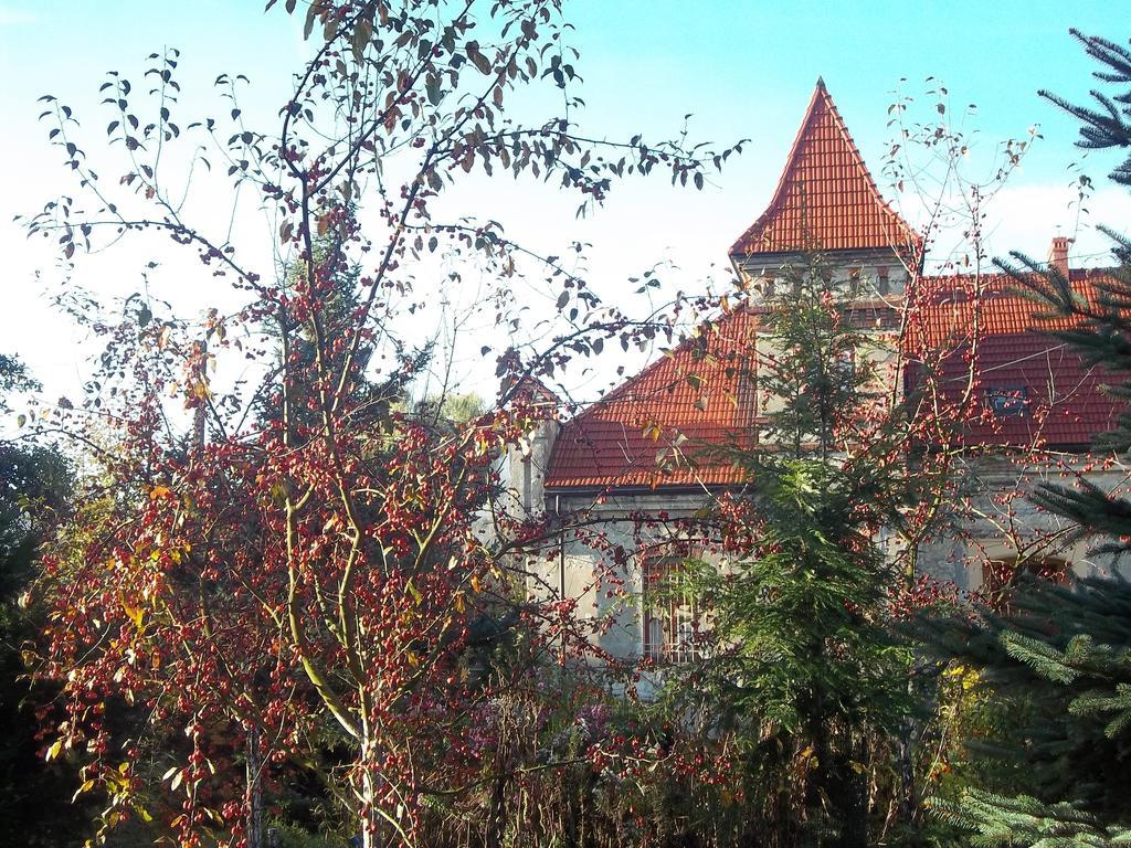 Dwor W Boleniu Villa Luaran gambar